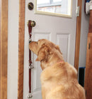 Leather Dog Doorbells to Go Outside, Brass Potty Training Bell — 6