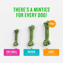 Minties Dog Dental Bone Treats, Tiny/Small Dental Dog Treats, 16 Ounces,…