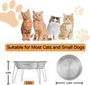 Elevated Cat Bowls, Wide Stainless Steel Cat Food Bowls with Metal Stand Whisker Stress-Free, Raised Food and Water Dish for Cats, Kitten, Puppies and Small Dogs — 6