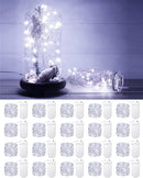 20 Pack Fairy Lights Battery Operated 3.3ft 20 LED Mini String Twinkle Copper Wire Firefly Starry for Mason Jars Wedding Party Christmas Centerpiece Table Decorations, Cool White | 3.3 Feet 20 LED — 1