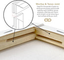 ArtSkills Stretched Canvas for Painting, 11x14 Canvas, 2-Pack Framed | 2-Pack 11x14 — 5