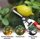 Kynup 3Pack Pruning Shears, Garden Shears, Pruning Shears for Gardening, Gardening Shears Scissors Clippers, Garden Tools Set with Gloves, Stainless Steel, Soft Grip Handle | Classic — 6