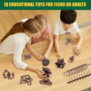 Mytothfy Brain Teaser Puzzles for Adults Teens Kids, 3D Puzzle Game Toys — 4