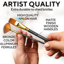 Professional Artist Paint Brush Set of 12 - Acrylic Painting Brushes Kit — 3