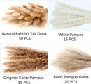 Dried Pampas Grass Decor, 100 Stems Pampas Grass Contains Bunny Tails Dried Flowers, Reed Grass Bouquet for Wedding Boho Flowers Home Table Decor, Rustic Farmhouse Party (17", White and Brown) | 100PCS — 4