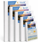 5 Pack Art Canvas for Painting,Stretched Canvas Board Set | 5pc | 1 — 1