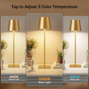 Kakanuo Gold Rechargeable Table Lamp, Cordless Battery Operated Lamp Set — 2
