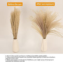 65PCS Pampas Grass Decor, Including pompas Floral, Reed Dried Grass and Bunny Tails Dried Flowers, Natural Dried Pampas Grass Bouquet for Boho Decor Wedding, Home Decoration — 2