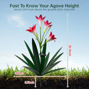 Homight Solar Metal Agave Lily Flower Garden Sculpture with LED Lights 30.3…