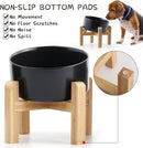 Petygooing Black Raised/Elevated 15°Slanted Ceramic Dog Bowl for Small Breeds,Tilted Anti Slip Pet Feeding Bowl,Food Water Dish with Stand for Cats and Small Dogs Puppy 13.5 OZ (5.1In /1.7 Cups) — 3