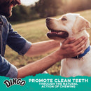 Dingo Dental Sticks Dog Treats With Real Chicken & Parsley, 48 Count