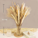 65PCS Pampas Grass Decor, Including pompas Floral, Reed Dried Grass and Bunny Tails Dried Flowers, Natural Dried Pampas Grass Bouquet for Boho Decor Wedding, Home Decoration — 5