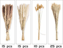 65PCS Pampas Grass Decor, Including pompas Floral, Reed Dried Grass and Bunny Tails Dried Flowers, Natural Dried Pampas Grass Bouquet for Boho Decor Wedding, Home Decoration — 3