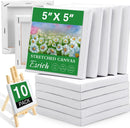 ESRICH Mini Stretched Canvas 10 Pack 5x5inch, 2/5''Profile Art Primed Canvases for Painting, Cotton Small Professional Stretched Canvas for Kids and Art Supplies, for Acrylics, Oils. | 10 Packs Stretched Canvas - 5*5in — 1