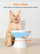 LoeJan Elevated Cat Food and Water Bowls Set, Extra Wide and Raised Ceramic Bowls, Anti-Vomit Whisker-Free Pressure Cat Feeder for Kittens to Adult Cats and Small Dogs (White, Water Bowl) — 6