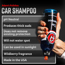 Adam's Polishes Car Wash Shampoo (Gallon) - pH Best Car Wash Soap For Snow…