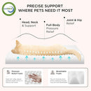 Bedsure Washable Dog Beds Large Sized Dog with Comfy Sherpa, 36x27in Grey — 3