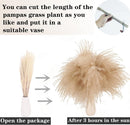 Dried Pampas Grass Decor, 100 Stems Pampas Grass Contains Bunny Tails Dried Flowers, Reed Grass Bouquet for Wedding Boho Flowers Home Table Decor, Rustic Farmhouse Party (17", White and Brown) | 100PCS — 5