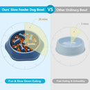 UPSKY Slow Feeder Dog Bowl Anti-Chocking Slower Feeding Pet Puzzle Bowls — 5