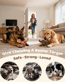 DinoBone 2-Pack Tough Dog Chew Toys for Aggressive Chewers, Bacon Flavor