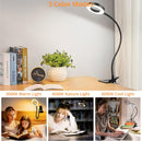 Woputne Desk Lamp Clip on Light for Bed Book Reading (Black) — 2