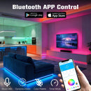DAYBETTER Led Strip Lights 300 ft Ultra Long Smart Light Strips with App Voice Control Remote, 2835 RGB Music Sync Color Changing Lights for Bedroom, Kitchen, Party,Home Decoration — 3