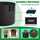 FEED GARDEN 10 Gallon Grow Bags 4 Pack – 300G Thickened Fabric Plant Pots with Reinforced Handles, Breathable Drainage Planters for Vegetables, Tomatoes, Herbs, Indoor & Outdoor Gardening — 3