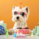 10 PCS Colorful Mini Party Hats for Stuffed Animals Lovely Paper Cone Tiny Birthday Hats for Stuffed Animals Pets Baby, Accessories — 4