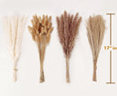 Dried Pampas Grass Decor, 100 Stems Pampas Grass Contains Bunny Tails Dried Flowers, Reed Grass Bouquet for Wedding Boho Flowers Home Table Decor, Rustic Farmhouse Party (17", White and Brown) | 100PCS — 2