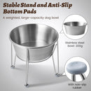 Elevated Dog Bowls for Medium&Small Dogs - Stainless Steel 48oz/6 Cups Raised…