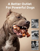 DinoBone 2-Pack Tough Dog Chew Toys for Aggressive Chewers, Bacon Flavor