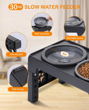 LALOBLUE Collapsible Dog Bowls Raised Elevated Adjust Stand — 5