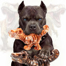 DinoBone 2-Pack Tough Dog Chew Toys for Aggressive Chewers, Bacon Flavor