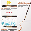 Watercolor Brushes Professional, Fuumuui 10Pcs Synthetic Squirrel Hair Water Color Paint Brush Set for Artists - Flat, Round Pointed, Dagger, Cats Tongue Oval Wash for Watercolor Gouache Inks Painting | Brown — 5