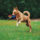wodoca Dog Tug Toy, Dog Toys for Aggressive Chewers, Strong Squeak Rope Toy