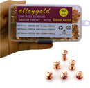 90 Sets Rose Gold Chicago Screws Leather Assorted Kit ，6 Sizes of Screw Rivets for Leather Rivet for DIY Leather Craft and Bookbinding (M5 X 4, 5, 6, 8, 10, 12) | M5*4.5.6.8.10.12mm — 7
