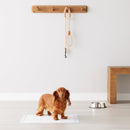 Amazon Basics Leak-Proof Dog and Puppy Potty Training Pee Pads with Quick-Dry…