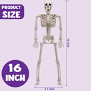 JOYIN 5 PCS Posable Halloween Skeleton Decor 16 Inches, Full Body Posable Joints Hanging Skeletons for Halloween Decorations, Graveyard Props, Haunted House Accessories, Spooky Scene Party Favors — 6