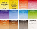 Cotman Watercolor Paints 8ml 12/Pkg-Assorted Colors — 3