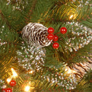 National Tree Company Pre-Lit Artificial Christmas Wreath, Green, Glittery Mountain Spruce, White Lights, Decorated with Pine Cones, Berry Clusters, Frosted Branches, Christmas Collection, 24 Inches — 3