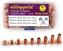 90 Sets Rose Gold Chicago Screws Leather Assorted Kit ，6 Sizes of Screw Rivets for Leather Rivet for DIY Leather Craft and Bookbinding (M5 X 4, 5, 6, 8, 10, 12) | M5*4.5.6.8.10.12mm — 1