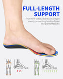 WalkHero Plantar Fasciitis Pain Relief Insoles, High Arch Support Inserts - Deep Blue Red — 2