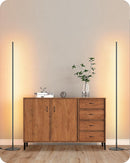 EDISHINE 2 Pack 57.5” Floor Lamp with Remote, Dimmable & 7 CCT Adjustable — 1
