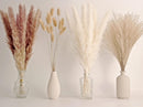 65PCS Pampas Grass Decor, Including pompas Floral, Reed Dried Grass and Bunny Tails Dried Flowers, Natural Dried Pampas Grass Bouquet for Boho Decor Wedding, Home Decoration — 1