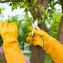 Acdyion Thorn Proof Gardening Gloves for Men & Women,yellow,M