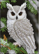 Owl Diamond Art Painting Kits for Adults,Animals Birds Pearl Painting Kits | HL6670 — 1