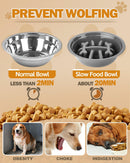 Jovrun Elevated Dog Bowls for Medium Large Size Dogs, Non-Slip Dog Feeder with…