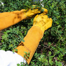 Acdyion Thorn Proof Gardening Gloves for Men & Women,yellow,M