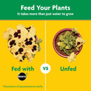 Miracle-Gro Water Soluble All Purpose Plant Food, Fertilizer for Indoor or Outdoor Flowers, Vegetables or Trees