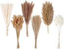 Dried Pampas Grass Decor, 120 PCS Pampas Grass with Bunny Tails Dried Flowers, Reed Grass Bouquet for Wedding, Boho Flowers, Home Table Decor, Rustic Farmhouse Party (White and Brown) | 120PCS — 1